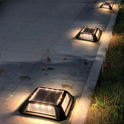 Solar Pathway Light