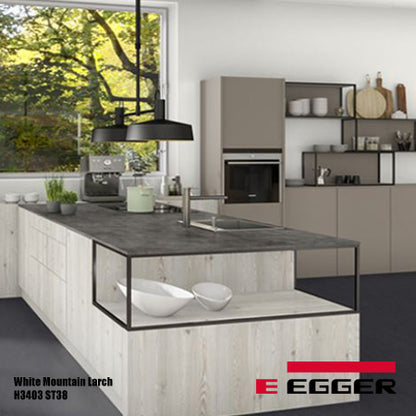 H3403 ST38 White Mountain Larch