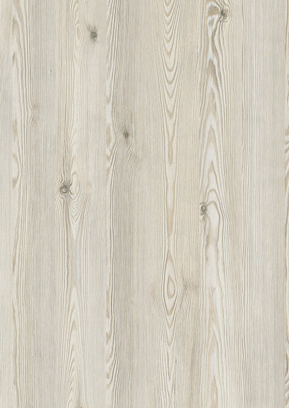 H3403 ST38 White Mountain Larch